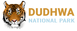 Dudhwa National Park