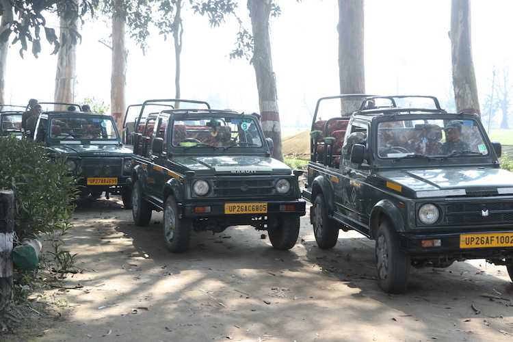 dudhwa national park jungle safari booking