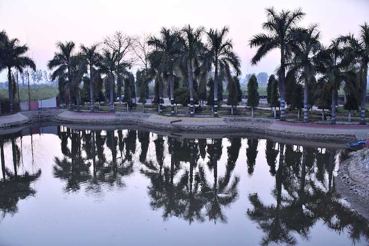 dudhwa national park tour packages