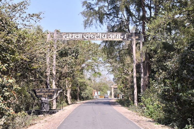 dudhwa national park wildlife sanctuary