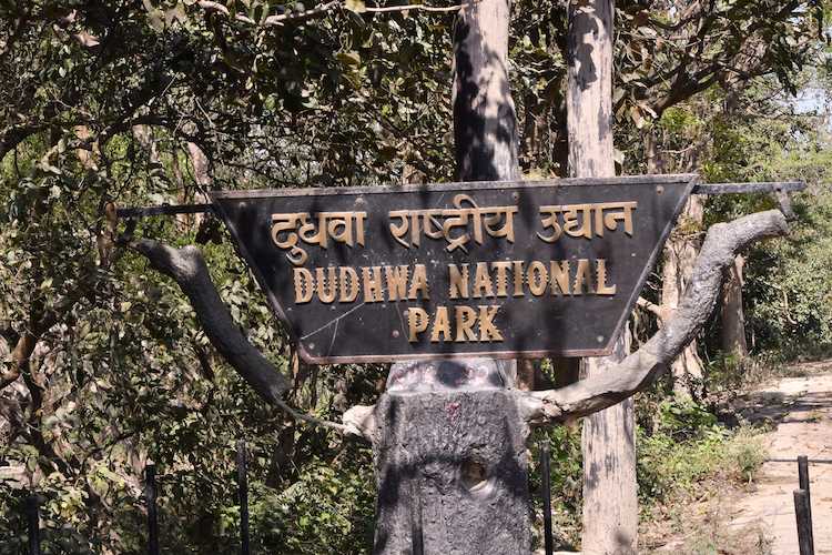 dudhwa wildlife sanctuary