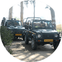 jungle jeep safari dudhwa national park