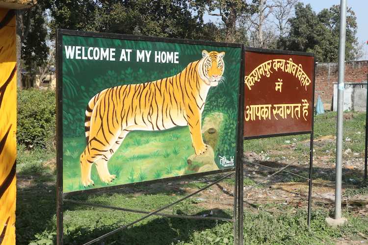 Kishanpur Wildlife Sanctuary